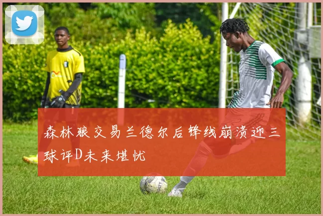 森林狼交易兰德尔后锋线崩溃迎三球评D未来堪忧